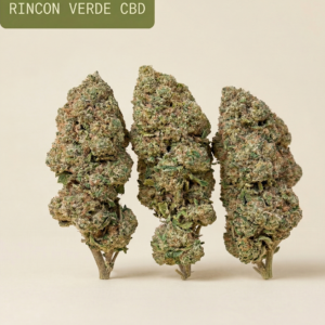 LEMON  (Glasshouse)