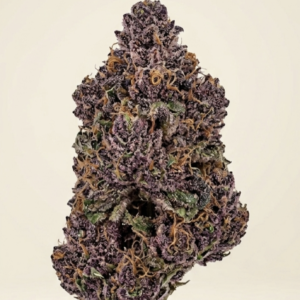 Purple Haze ( Interior )