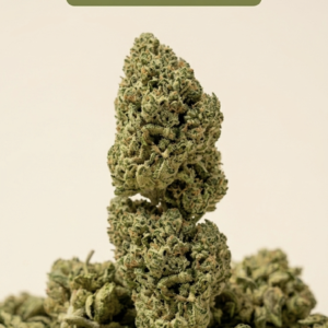 LA MANSA (Small buds)