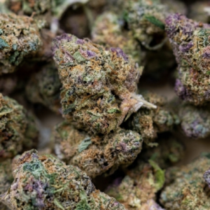 La lll Hermana (small buds)
