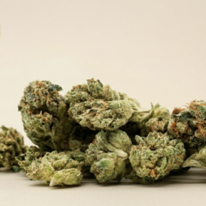 La Santa (small buds)