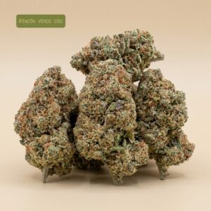 Jack Herer (Glass House)